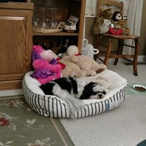 Meet your Posher, Donna